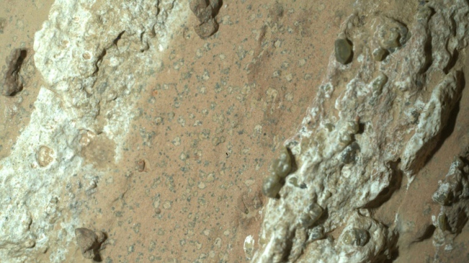 Rover da Nasa encontra em Marte rocha que pode conter vida microscópica antiga