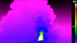 Parossismo Etna, fontana di lava e nube di cenere alta 5 km