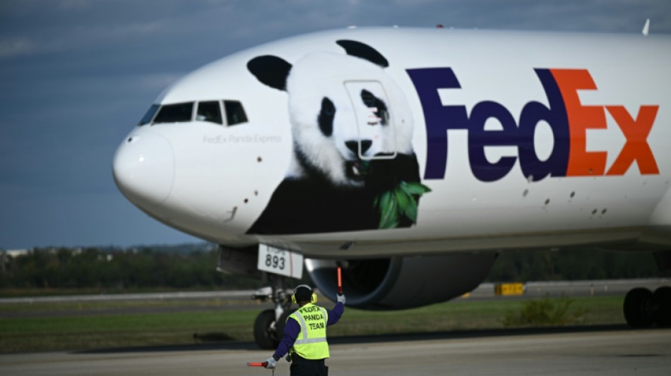 Giant pandas flown to US from China aboard 'Panda Express'