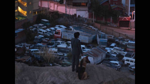 Ladro di cani, dalla Bolivia l'omaggio a De Sica
